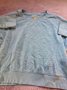 Women J. Crew Light Blue Crewneck Short-Sleeve Sweater